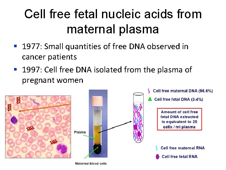 Cell free fetal nucleic acids from maternal plasma § 1977: Small quantities of free