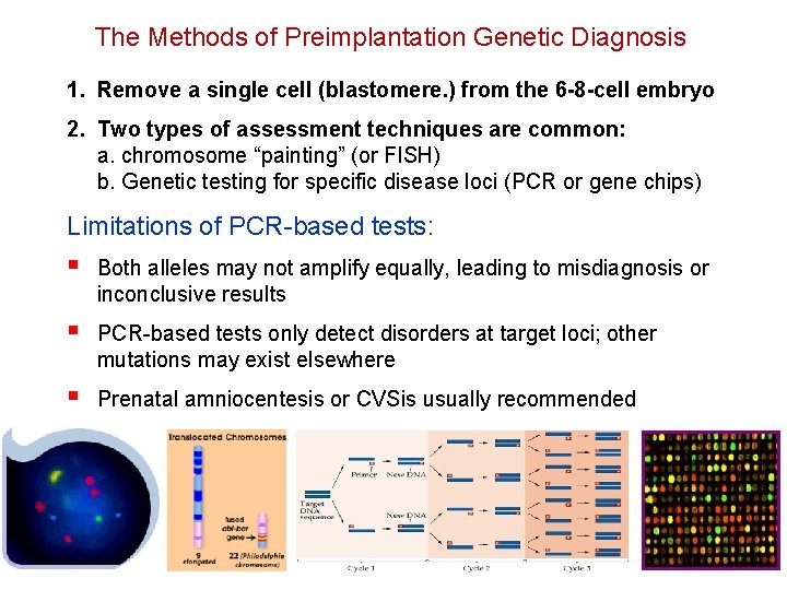 The Methods of Preimplantation Genetic Diagnosis 1. Remove a single cell (blastomere. ) from