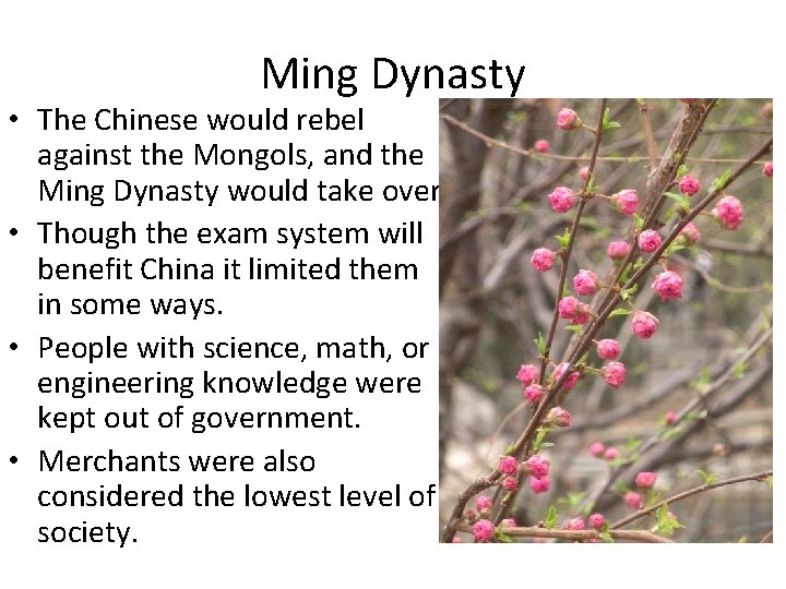 Ming Dynasty • The Chinese would rebel against the Mongols, and the Ming Dynasty