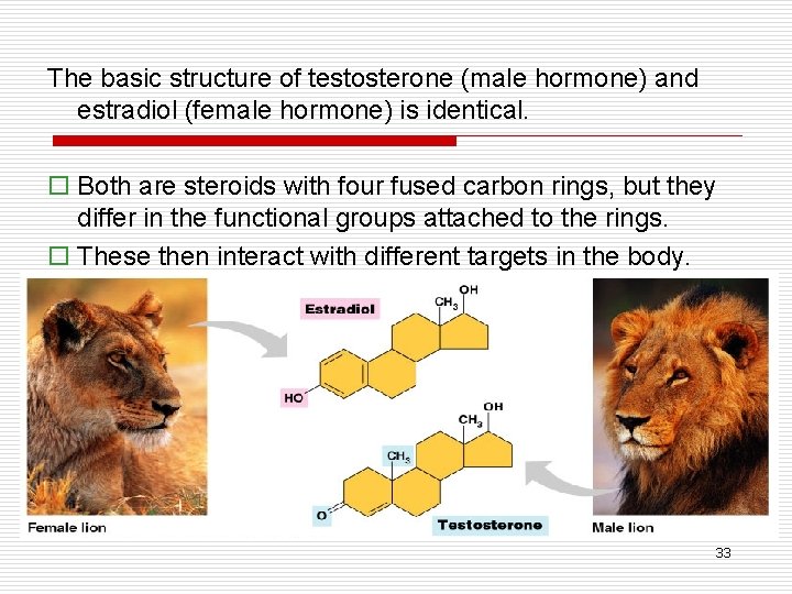 The basic structure of testosterone (male hormone) and estradiol (female hormone) is identical. o