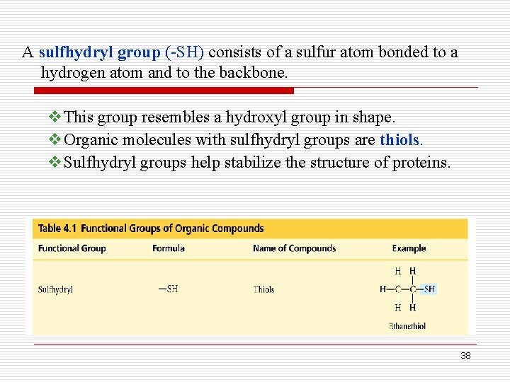 A sulfhydryl group (-SH) consists of a sulfur atom bonded to a hydrogen atom