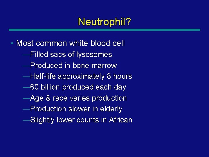 Neutrophil? • Most common white blood cell —Filled sacs of lysosomes —Produced in bone