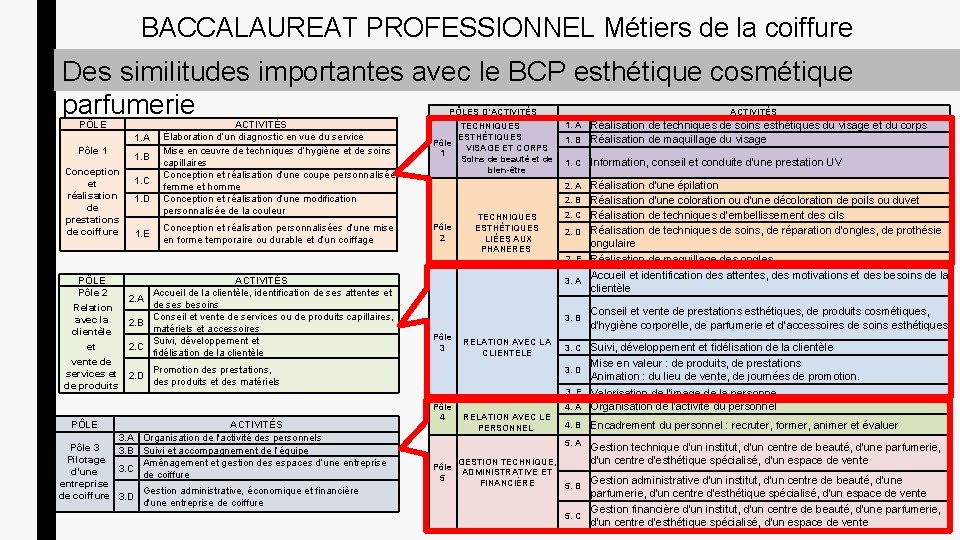 BACCALAUREAT PROFESSIONNEL Métiers de la coiffure Des similitudes importantes avec le BCP esthétique cosmétique