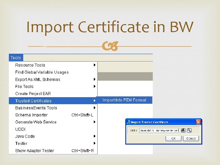 Import Certificate in BW 