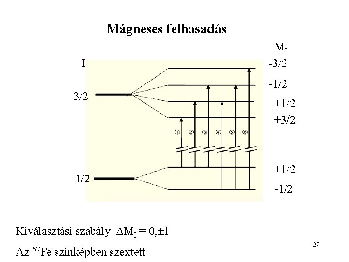 Mágneses felhasadás I 3/2 1/2 MI -3/2 -1/2 +3/2 +1/2 -1/2 Kiválasztási szabály MI