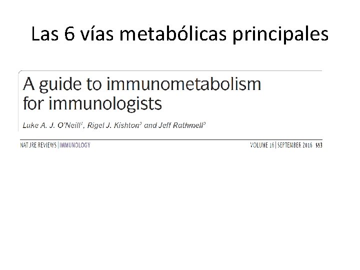 Las 6 vías metabólicas principales 