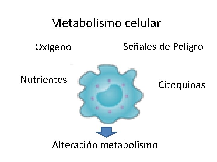 Metabolismo celular Oxígeno Señales de Peligro Nutrientes Alteración metabolismo Citoquinas 