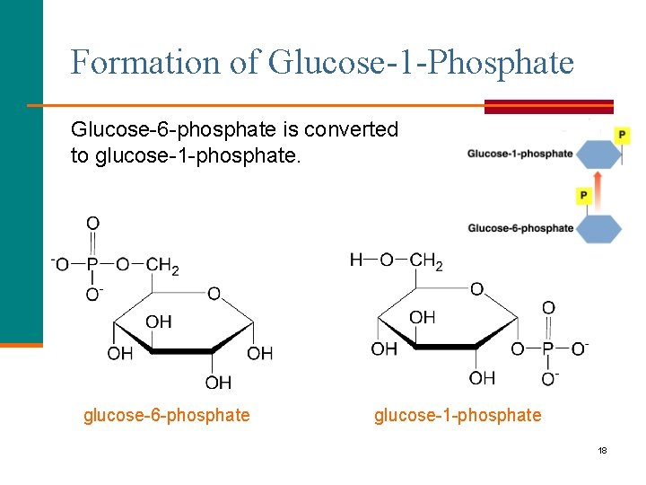 Formation of Glucose-1 -Phosphate Glucose-6 -phosphate is converted to glucose-1 -phosphate. glucose-6 -phosphate glucose-1