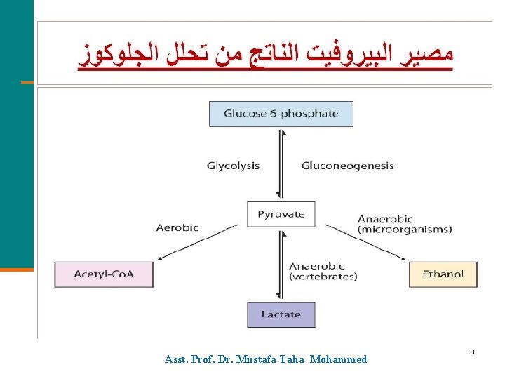 Asst. Prof. Dr. Mustafa Taha Mohammed 3 