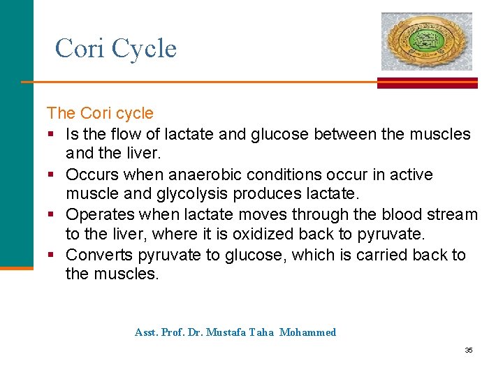 Cori Cycle The Cori cycle § Is the flow of lactate and glucose between