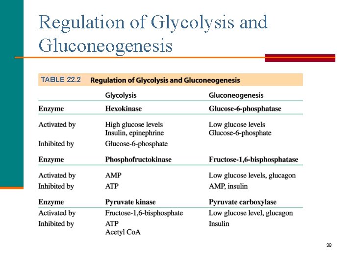 Regulation of Glycolysis and Gluconeogenesis TABLE 22. 2 38 