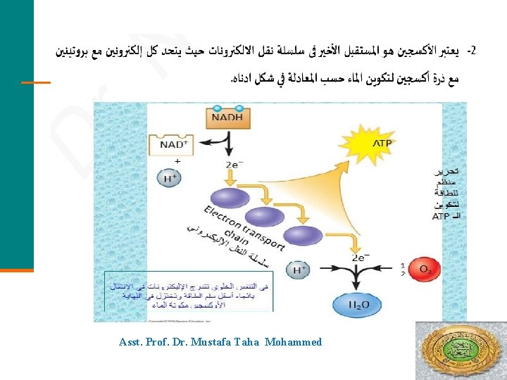 Asst. Prof. Dr. Mustafa Taha Mohammed 51 