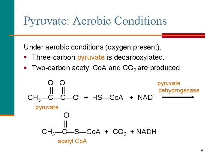 Pyruvate: Aerobic Conditions Under aerobic conditions (oxygen present), § Three-carbon pyruvate is decarboxylated. §