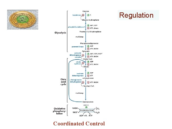 Regulation Coordinated Control 