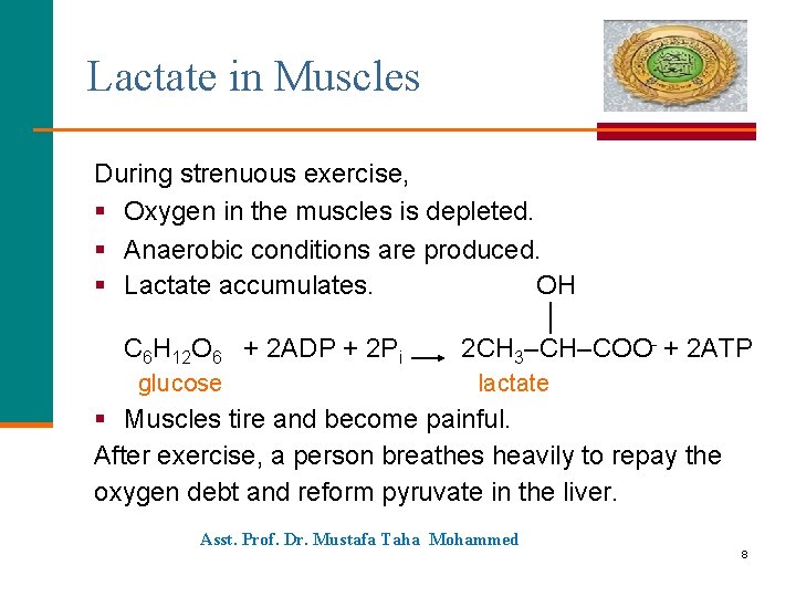 Lactate in Muscles During strenuous exercise, § Oxygen in the muscles is depleted. §