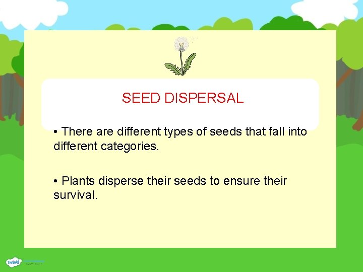 SEED DISPERSAL • There are different types of seeds that fall into different categories.