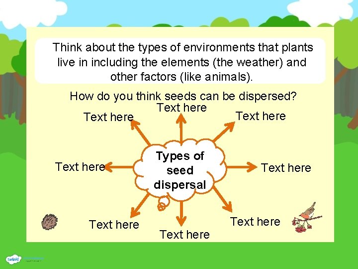 Think about the types of environments that plants live in including the elements (the