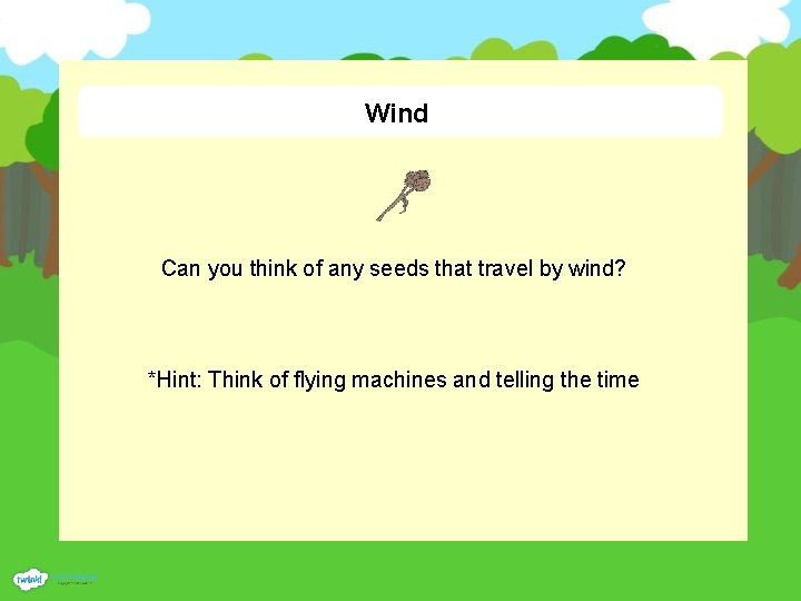 Wind Can you think of any seeds that travel by wind? *Hint: Think of