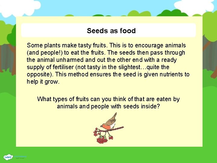 Seeds as food Some plants make tasty fruits. This is to encourage animals (and