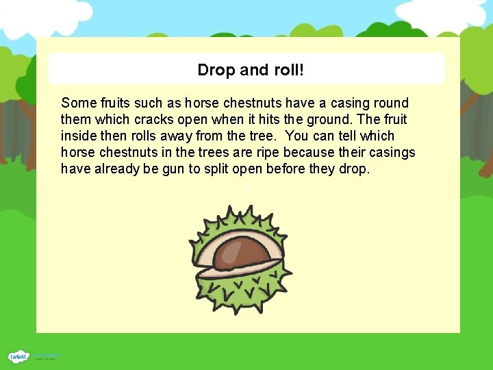 Drop and roll! Some fruits such as horse chestnuts have a casing round them