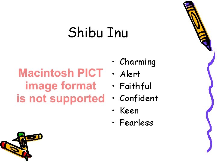 Shibu Inu • • • Charming Alert Faithful Confident Keen Fearless 