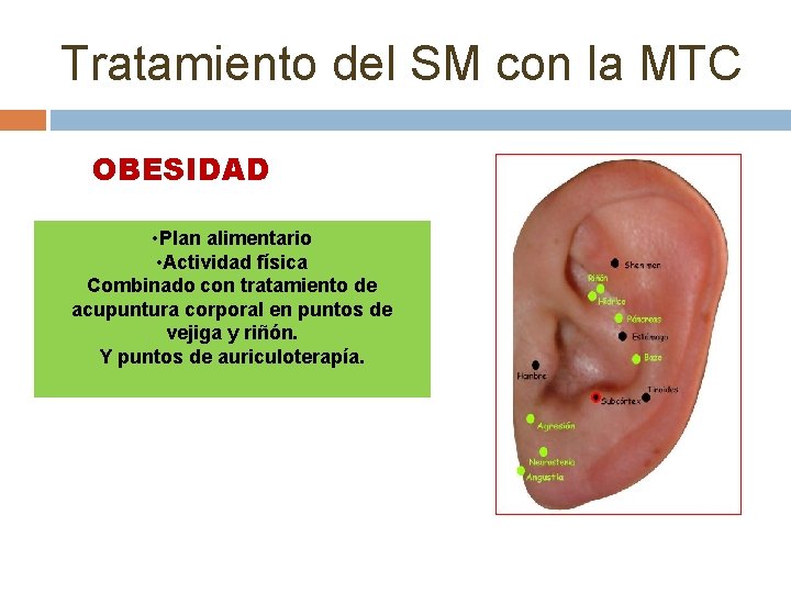 Tratamiento del SM con la MTC OBESIDAD • Plan alimentario • Actividad física Combinado