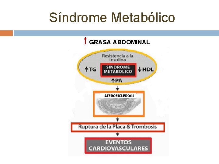 Síndrome Metabólico GRASA ABDOMINAL 