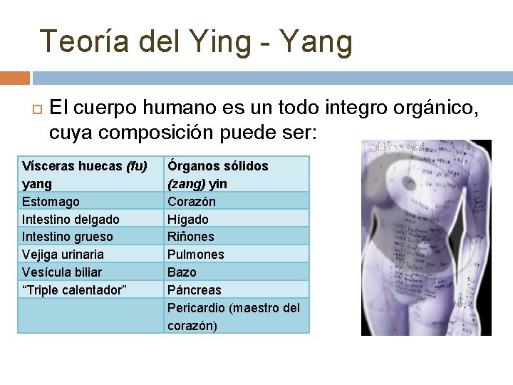 Teoría del Ying - Yang El cuerpo humano es un todo integro orgánico, cuya