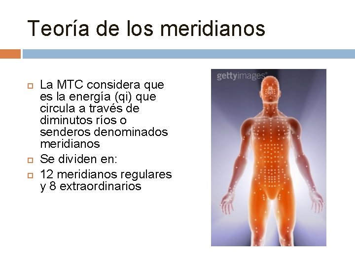 Teoría de los meridianos La MTC considera que es la energía (qi) que circula