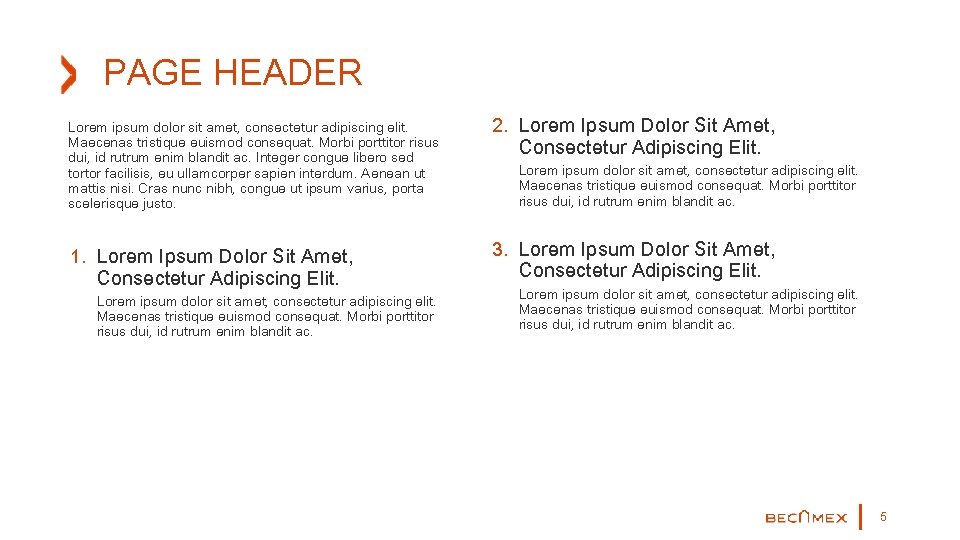 PAGE HEADER Lorem ipsum dolor sit amet, consectetur adipiscing elit. Maecenas tristique euismod consequat.