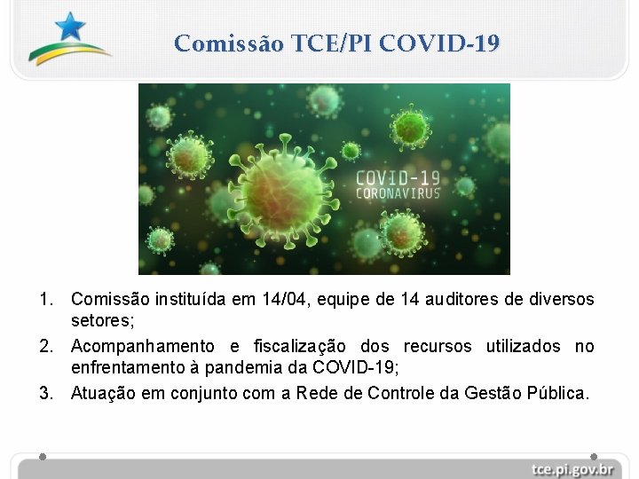 Comissão TCE/PI COVID-19 1. Comissão instituída em 14/04, equipe de 14 auditores de diversos