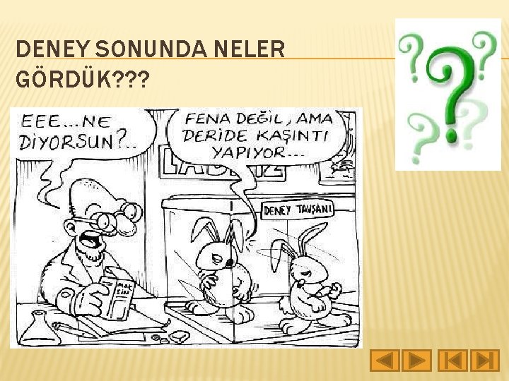 DENEY SONUNDA NELER GÖRDÜK? ? ? 