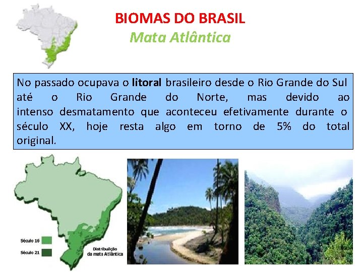 BIOMAS DO BRASIL Mata Atlântica No passado ocupava o litoral brasileiro desde o Rio