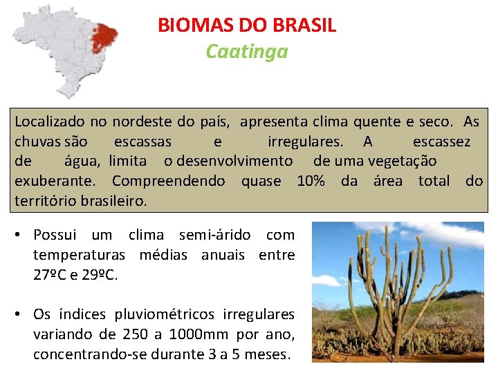 BIOMAS DO BRASIL Caatinga Localizado no nordeste do país, apresenta clima quente e seco.