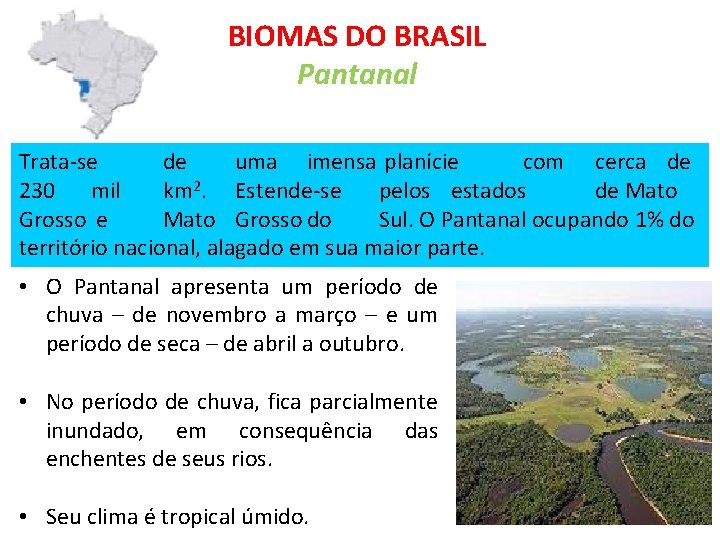 BIOMAS DO BRASIL Pantanal Trata-se de uma imensa planície com cerca de 230 mil
