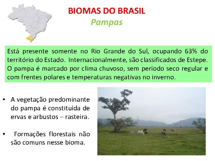 BIOMAS DO BRASIL Pampas Está presente somente no Rio Grande do Sul, ocupando 63%