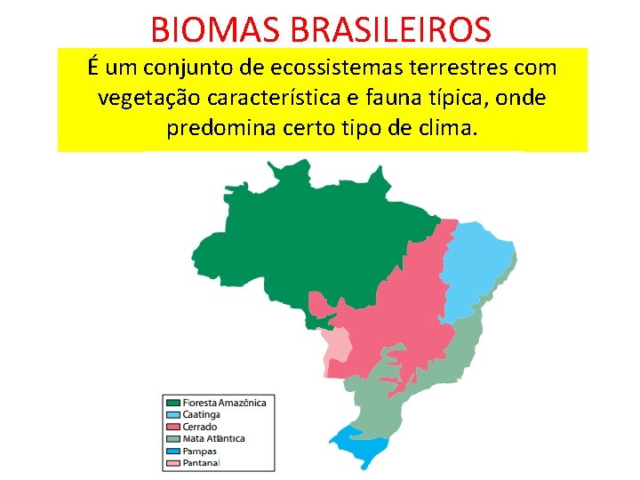 BIOMAS BRASILEIROS É um conjunto de ecossistemas terrestres com vegetação característica e fauna típica,