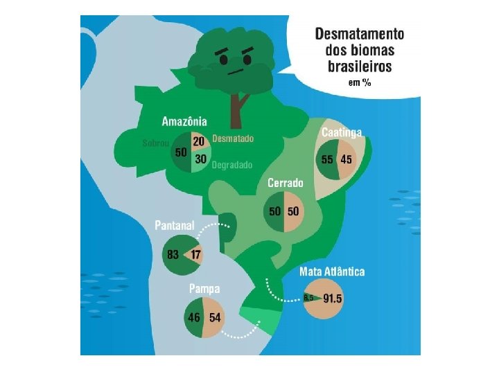 BIOMAS DO BRASIL Biomas Brasileiros Ameaçados 
