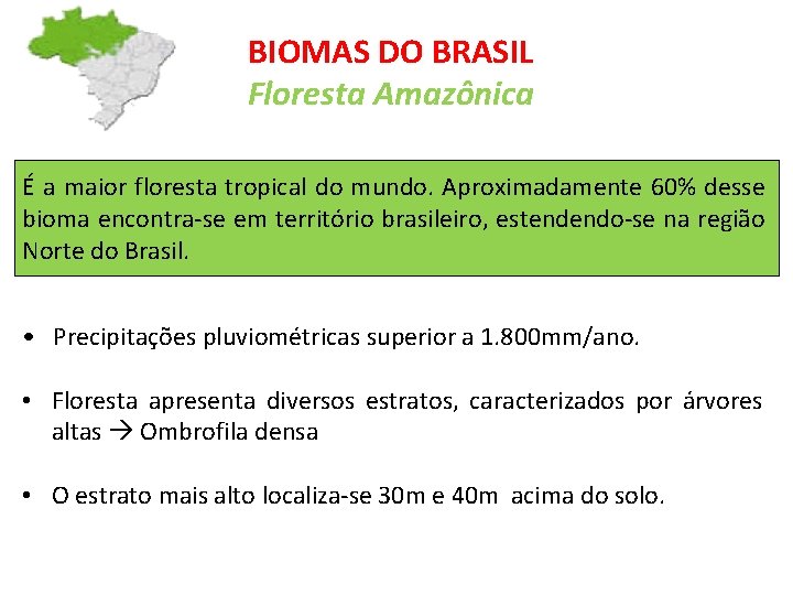 BIOMAS DO BRASIL Floresta Amazônica É a maior floresta tropical do mundo. Aproximadamente 60%
