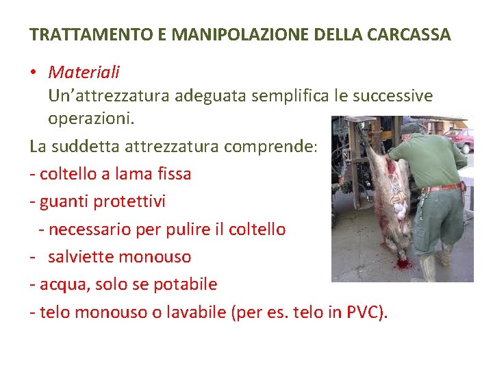 TRATTAMENTO E MANIPOLAZIONE DELLA CARCASSA • Materiali Un’attrezzatura adeguata semplifica le successive operazioni. La