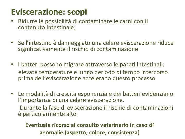 Eviscerazione: scopi • Ridurre le possibilità di contaminare le carni con il contenuto intestinale;