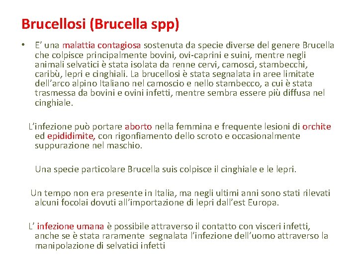 Brucellosi (Brucella spp) • E’ una malattia contagiosa sostenuta da specie diverse del genere