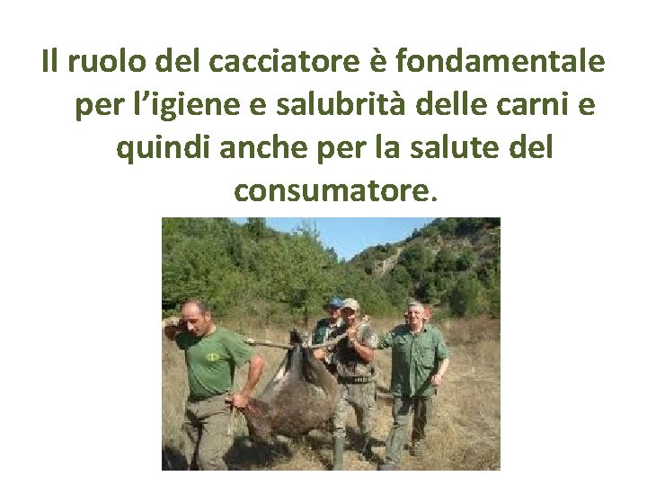 Il ruolo del cacciatore è fondamentale per l’igiene e salubrità delle carni e quindi