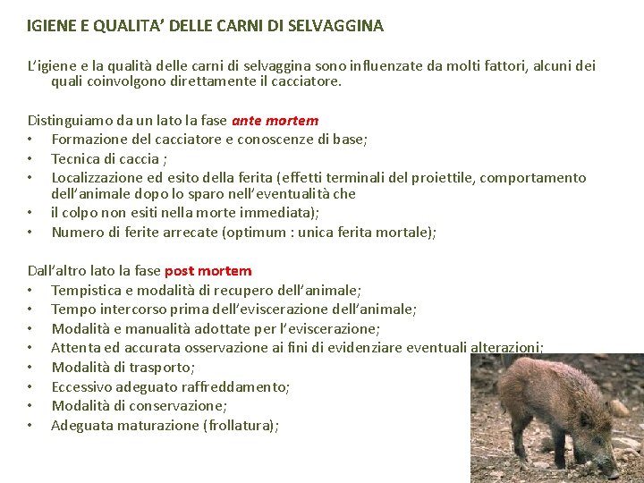 IGIENE E QUALITA’ DELLE CARNI DI SELVAGGINA L’igiene e la qualità delle carni di