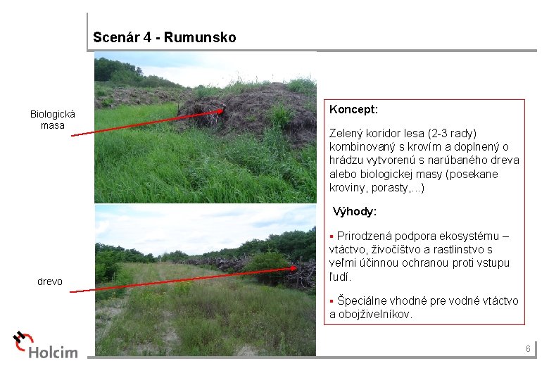 Scenár 4 - Rumunsko Biologická masa Koncept: Zelený koridor lesa (2 -3 rady) kombinovaný
