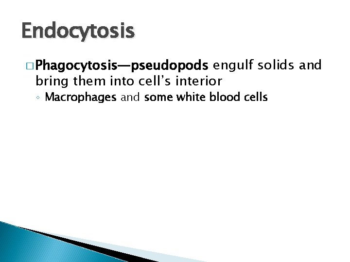Endocytosis � Phagocytosis—pseudopods engulf solids and bring them into cell’s interior ◦ Macrophages and
