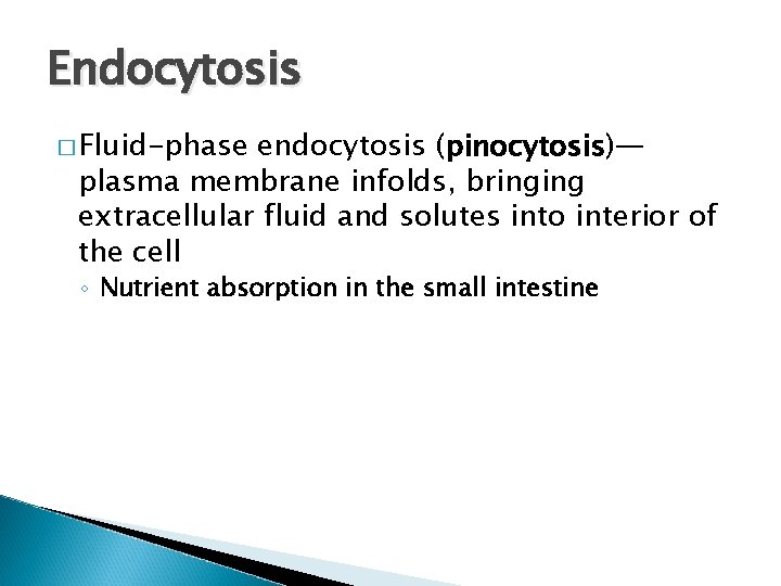 Endocytosis � Fluid-phase endocytosis (pinocytosis)— plasma membrane infolds, bringing extracellular fluid and solutes into