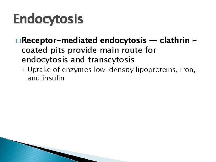 Endocytosis � Receptor-mediated endocytosis — clathrin coated pits provide main route for endocytosis and