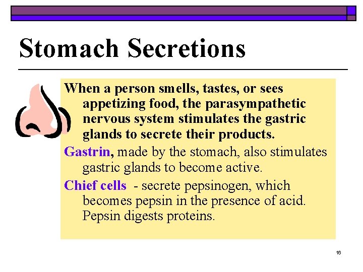 Stomach Secretions When a person smells, tastes, or sees appetizing food, the parasympathetic nervous