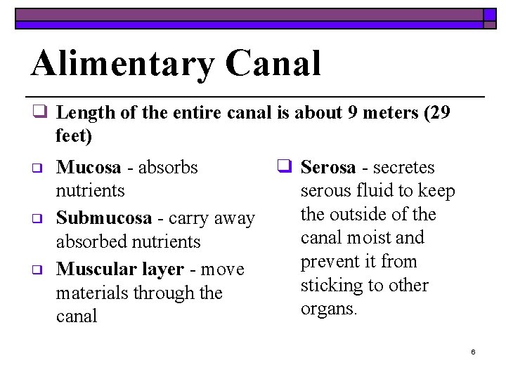 Alimentary Canal ❑ Length of the entire canal is about 9 meters (29 feet)